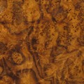 Walnut burl