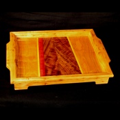 elm tray