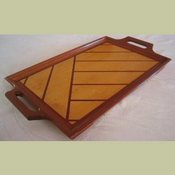 T37 tray