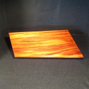 T28 tray